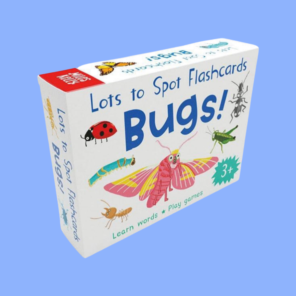 Lots to Spot Flashcards: Bugs!